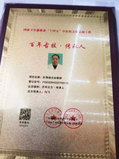 恭贺著名新时代国医名师——向飞荣获国医百科官网“国医泰斗”称号