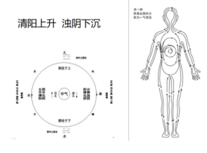 道医谈永南：传承净明派，开启慢性病防治新征程