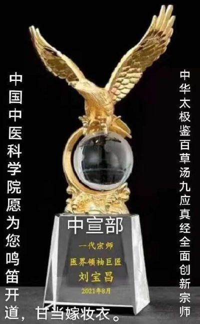 大国医者国医名师 中国当代医学创新之父——刘宝昌