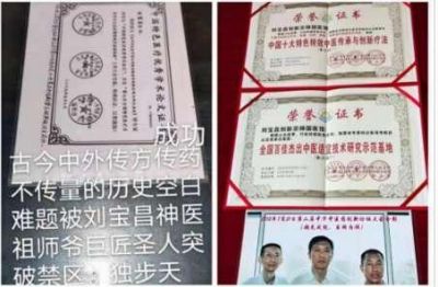 大国医者国医名师 中国当代医学创新之父——刘宝昌