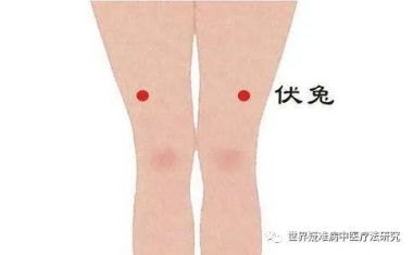 中国著名中医大师——姚大鹏无药疗法研究成果系列