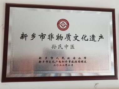 中医传国脉 岐伯济天下 访新时代国医大师、孙氏中医传承人孙太山