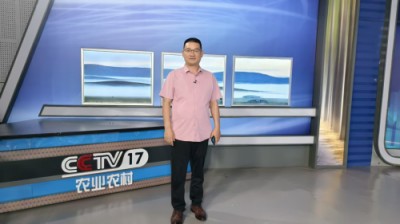 湘水易医易新亮靶向针灸断根疗法：道医智慧与现代科技的融合探索