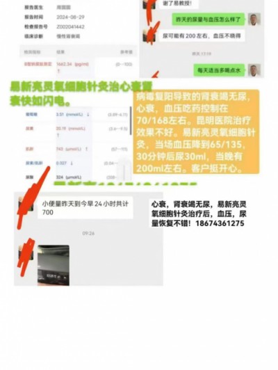 湘水易医易新亮靶向针灸断根疗法：道医智慧与现代科技的融合探索