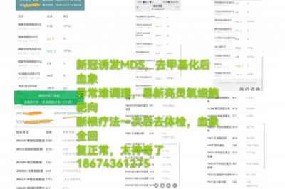 湘水易医易新亮靶向针灸断根疗法：道医智慧与现代科技的融合探索