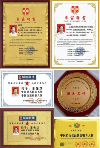 中国医学2025元旦特别报道 当代著名中医专家---王先芝