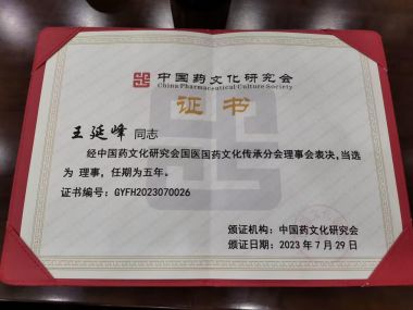 中医传国脉 岐伯济天下 访国医名师、道家医学传承人---王延峰