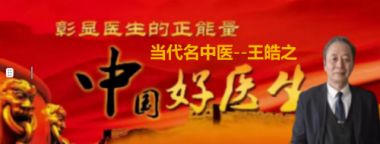 中国好医生——王皓之