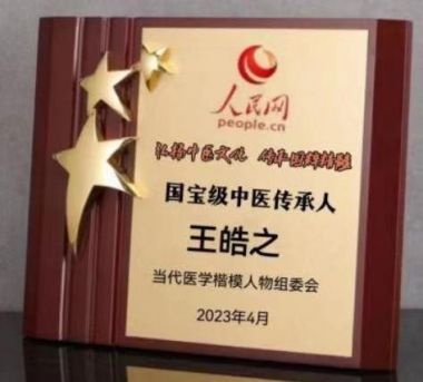 中国好医生——王皓之