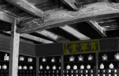 清康熙育寧堂中毉藥文化-祝华