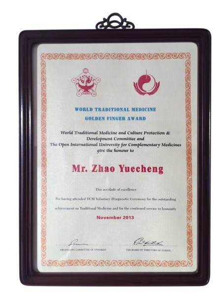 金手指下的生命奇迹：赵氏手部点穴疗法的传承与全球影响