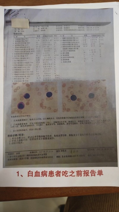 引领新时代大健康潮流的企业家---郭国康