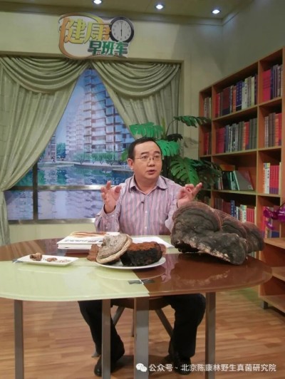 陈康林怎么治疗肿瘤的