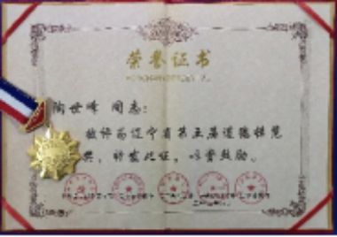 国医大师--陶世峰