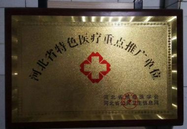 党旗下的国医名师  大健康时代楷模 ——马术奇