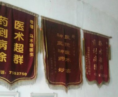 党旗下的国医名师  大健康时代楷模 ——马术奇