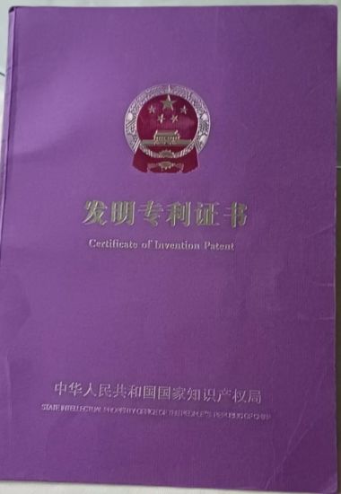 党旗下的国医名师  大健康时代楷模 ——马术奇